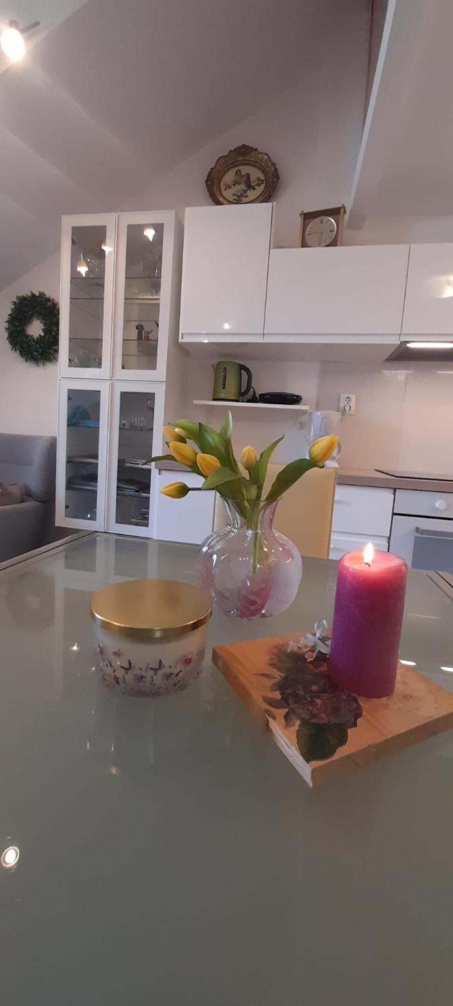 Apartment Sea View Mouth Cetina Омиш Экстерьер фото